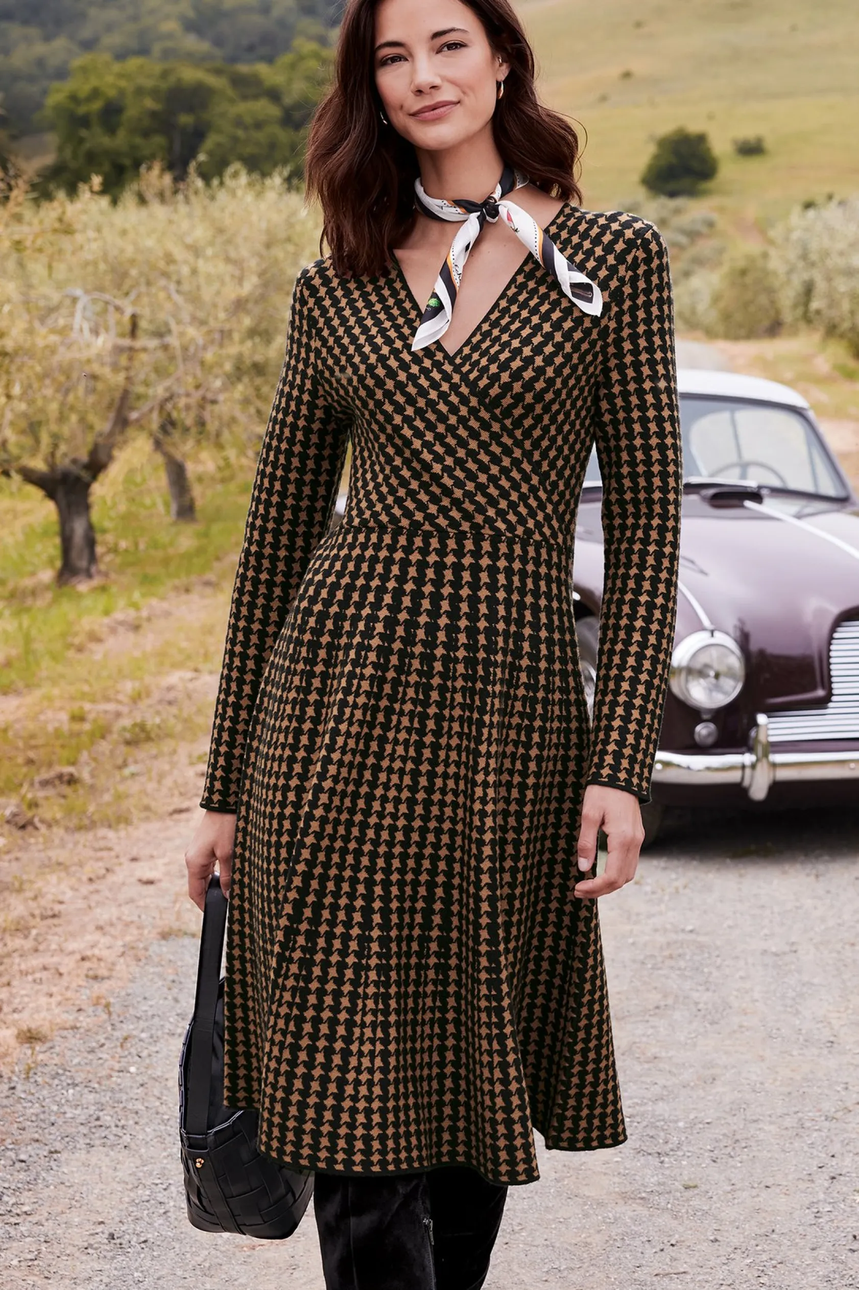 Soft Surroundings Aida Dress